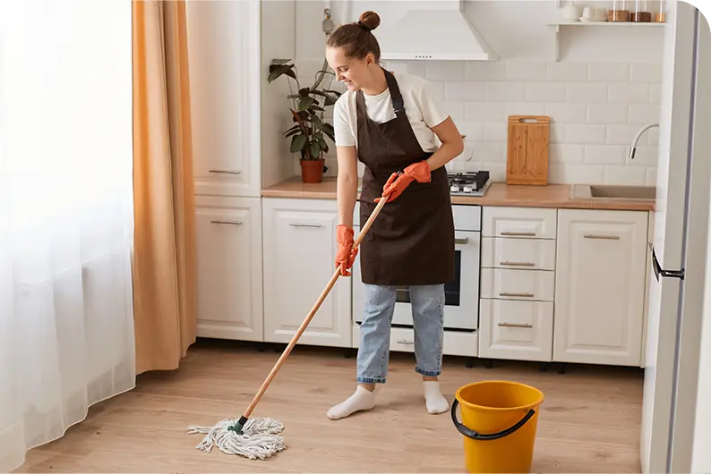 Exploring the Scope of Domestic Cleaning in United Kingdom