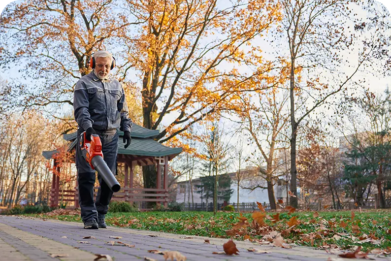 Common Mistakes To Avoid During Driveway Cleaning